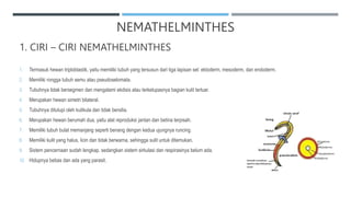 1. CIRI – CIRI NEMATHELMINTHES
1. Termasuk hewan triploblastik, yaitu memiliki tubuh yang tersusun dari tiga lapisan sel: ektoderm, mesoderm, dan endoderm.
2. Memiliki rongga tubuh semu atau pseudoselomata.
3. Tubuhnya tidak bersegmen dan mengalami ekdisis atau terkelupasnya bagian kulit terluar.
4. Merupakan hewan simetri bilateral.
5. Tubuhnya ditutupi oleh kutikula dan tidak bersilia.
6. Merupakan hewan berumah dua, yaitu alat reproduksi jantan dan betina terpisah.
7. Memiliki tubuh bulat memanjang seperti benang dengan kedua ujungnya runcing.
8. Memiliki kulit yang halus, licin dan tidak berwarna, sehingga sulit untuk ditemukan.
9. Sistem pencernaan sudah lengkap, sedangkan sistem sirkulasi dan respirasinya belum ada.
10. Hidupnya bebas dan ada yang parasit.
NEMATHELMINTHES
 
