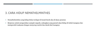 3. CARA HIDUP NEMATHELMINTHES
 Nemathelminthes yang hidup bebas terdapat di tanah becek dan di dasar perairan
 Berperan untuk menguraikan sampah organik, sedangkan yang parasit akan hidup di tubuh inangnya dan
memperoleh makanan dengan menyerap nutrisi dan darah dari inangnya
 