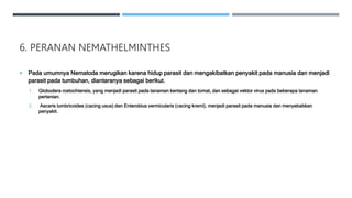 6. PERANAN NEMATHELMINTHES
 Pada umumnya Nematoda merugikan karena hidup parasit dan mengakibatkan penyakit pada manusia dan menjadi
parasit pada tumbuhan, diantaranya sebagai berikut.
1. Globodera rostochiensis, yang menjadi parasit pada tanaman kentang dan tomat, dan sebagai vektor virus pada beberapa tanaman
pertanian.
2. Ascaris lumbricoides (cacing usus) dan Enterobius vermicularis (cacing kremi), menjadi parasit pada manusia dan menyebabkan
penyakit.
 