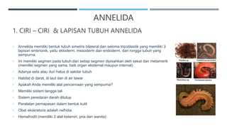 1. CIRI – CIRI & LAPISAN TUBUH ANNELIDA
• Annelida memiliki bentuk tubuh simetris bilateral dan seloma tripoblastik yang memiliki 3
lapisan embrionik, yaitu ektoderm, mesoderm dan endoderm, dan rongga tubuh yang
sempurna.
• Ini memiliki segmen pada tubuh dan setiap segmen dipisahkan oleh sekat dan metamerik
(memiliki segmen yang sama, baik organ eksternal maupun internal).
• Adanya seta atau duri halus di sekitar tubuh
• Habitat di darat, di laut dan di air tawar
• Apakah Anda memiliki alat pencernaan yang sempurna?
• Memiliki sistem tangga tali
• Sistem peredaran darah ditutup
• Peralatan pernapasan dalam bentuk kulit
• Obat ekskretoris adalah nefridia
• Hemafrodit (memiliki 2 alat kelamin, pria dan wanita)
ANNELIDA
 