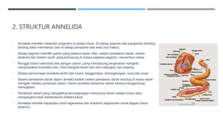 2. STRUKTUR ANNELIDA
• Annelida memiliki metameri (segmen) di setiap tubuh. Di setiap segmen ada parapodia (dinding
dinding datar membesar) dan di setiap parapodia ada seta (duri halus).
• Setiap segmen memiliki partisi yang disebut septa. Nah, sistem peredaran darah, sistem
ekskresi dan sistem saraf, yang terhubung di antara segmen-segmen, menembus septa.
• Rongga tubuh calendula diisi dengan cairan, yang mendukung pergerakan marigold,
menghasilkan kontraksi otot. Otot marigold terdiri dari otot melingkar dan lonjong.
• Sistem pencernaan annelida terdiri dari mulut, tenggorokan, kerongkongan, usus dan anus.
• Sistem peredaran darah dalam annelid adalah sistem peredaran darah tertutup di mana darah
mengalir melalui pembuluh darah. Darah annelida berwarna merah karena mengandung
hemoglobin.
• Pembuluh darah yang mengelilingi kerongkongan memompa darah melalui tubuh atau
mengangkut hasil metabolisme melalui tubuh
• Annelida memiliki kapasitas untuk regenerasi dan autotomi (keputusan untuk bagian tubuh
tertentu).
 