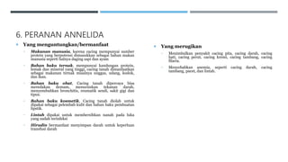 6. PERANAN ANNELIDA
 Yang menguntungkan/bermanfaat
• Makanan manusia, karena cacing mempunyai sumber
protein yang berpotensi dimasukkan sebagai bahan makan
manusia seperti halnya daging sapi dan ayam
• Bahan baku ternak, mempunyai kandungan protein,
lemak dan mineral yang tinggi, cacing tanah dimanfaatkan
sebagai makanan ternak misalnya unggas, udang, kodok,
dan ikan.
• Bahan baku obat, Cacing tanah dipercaya bisa
meredakan demam, menurunkan tekanan darah,
menyembuhkan bronchitis, reumatik sendi, sakit gigi dan
tipus.
• Bahan baku kosmetik, Cacing tanah diolah untuk
dipakai sebagai pelembab kulit dan bahan baku pembuatan
lipstik.
• Lintah dipakai untuk membersihkan nanah pada luka
yang sudah terinfeksi
• Hirudin bermanfaat menyimpan darah untuk keperluan
transfusi darah
 Yang merugikan
• Menimbulkan penyakit cacing pita, cacing darah, cacing
hati, cacing perut, cacing kremi, cacing tambang, cacing
filaria.
• Menyebabkan anemia, seperti cacing darah, cacing
tambang, pacet, dan lintah.
 