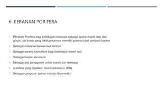 6. PERANAN PORIFERA
1. Peranan Porifera bagi kehidupan manusia sebagai spons mandi dan alat
gosok, zat kimia yang dikeluarkannya memiliki potensi obat penyakit kanker.
2. Sebagai makanan hewan laut lainnya
3. Sebagai sarana kamuflase bagi beberapa hewan laut
4. Sebagai hiasan akuarium
5. Sebagai alat penggosok untuk mandi dan mencuci
6. porefera yang dijadikan obat kontrasepsi (KB)
7. Sebagai campuran bahan industri (kosmetik)
 