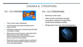 CNIDARIA & CTENOPHORA
Ciri – Ciri CNIDARIA
1) Tubuh simetri radial, diploblastik.
2) memiliki sel-sel penyengat (knidoblas) pada
bagian ektoder.
3) Knidoblas mengandung nematosit yang berfungsi
menangkap mangsa
4) Mempunyai dua bentuk tubuh, yaitu polip (tubuh
bentuk tabung, tidak dapat bergerak
bebas/menempel dan medusa (tubuh bentuk
payung, dapat berenang bebas).
5) Reproduksi secara vegetatif dengan membentuk
tunas dan secara generatif dengan pembuahan
ovum oleh spermatozoid.
Ciri – Ciri CTENOPHORA
1) Berbentuk simetri radial
2) Tidak memiliki nematositas sehingga
menangkap mangsanya menggunakan
tentakel yang dilengkapi koloblas
3) Menggunakan silia untuk lokomosi/pergerakan
 