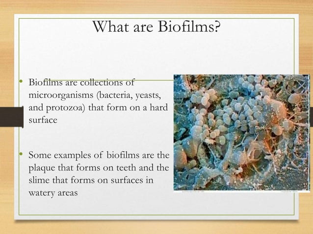 Cleaning and Disinfection of Medical Instruments | PPTX | First Aid ...