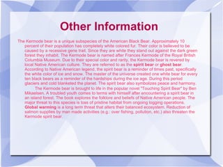 Other Information The Kermode   bear  is a unique subspecies of the American Black Bear. Approximately 10 percent of their population has completely white colored fur. Their color is believed to be caused by a recessive gene trait. Since they are white they stand out against the dark green forest they inhabit. The Kermode bear is named after Frances Kermode of the Royal British Columbia Museum. Due to their special color and rarity, the Kermode bear is revered by local Native American culture. They are referred to as the  spirit bear  or  ghost bear . According to Native American legend, the spirit bear is a reminder of times past, specifically the white color of ice and snow. The master of the universe created one white bear for every ten black bears as a reminder of the hardships during the ice age. During this period glaciers and cold blanketed the planet. The spirit bear also symbolizes peace and harmony.  The Kermode bear is brought to life in the popular novel "Touching Spirit Bear" by Ben Mikaelsen. A troubled youth comes to terms with himself after encountering a spirit bear in an island forest. The book explores the folklore and beliefs of Native American people. The major threat to this species is loss of pristine habitat from ongoing logging operations.  Global warming  is a long term threat that alters their balanced ecosystem. Reduction of salmon supplies by man made activities (e.g.: over fishing, pollution, etc.) also threaten the Kermode spirit bear. 