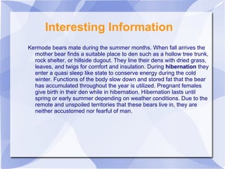 Interesting Information Kermode bears mate during the summer months. When fall arrives the mother bear finds a suitable place to den such as a hollow tree trunk, rock shelter, or hillside dugout. They line their dens with dried grass, leaves, and twigs for comfort and insulation. During  hibernation  they enter a quasi sleep like state to conserve energy during the cold winter. Functions of the body slow down and stored fat that the bear has accumulated throughout the year is utilized. Pregnant females give birth in their den while in hibernation. Hibernation lasts until spring or early summer depending on weather conditions. Due to the remote and unspoiled territories that these bears live in, they are neither accustomed nor fearful of man.   