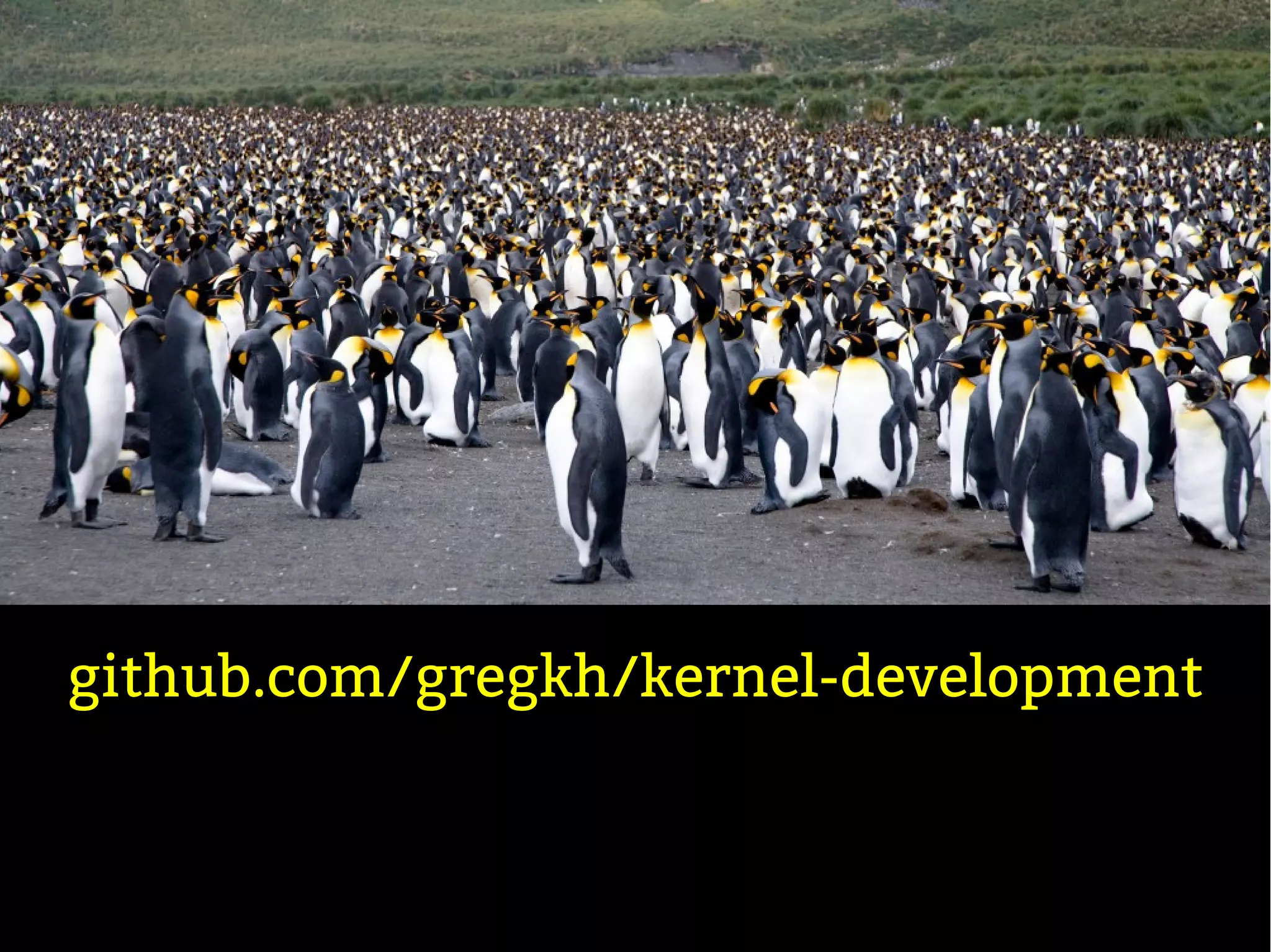 github.com/gregkh/kernel-development
 