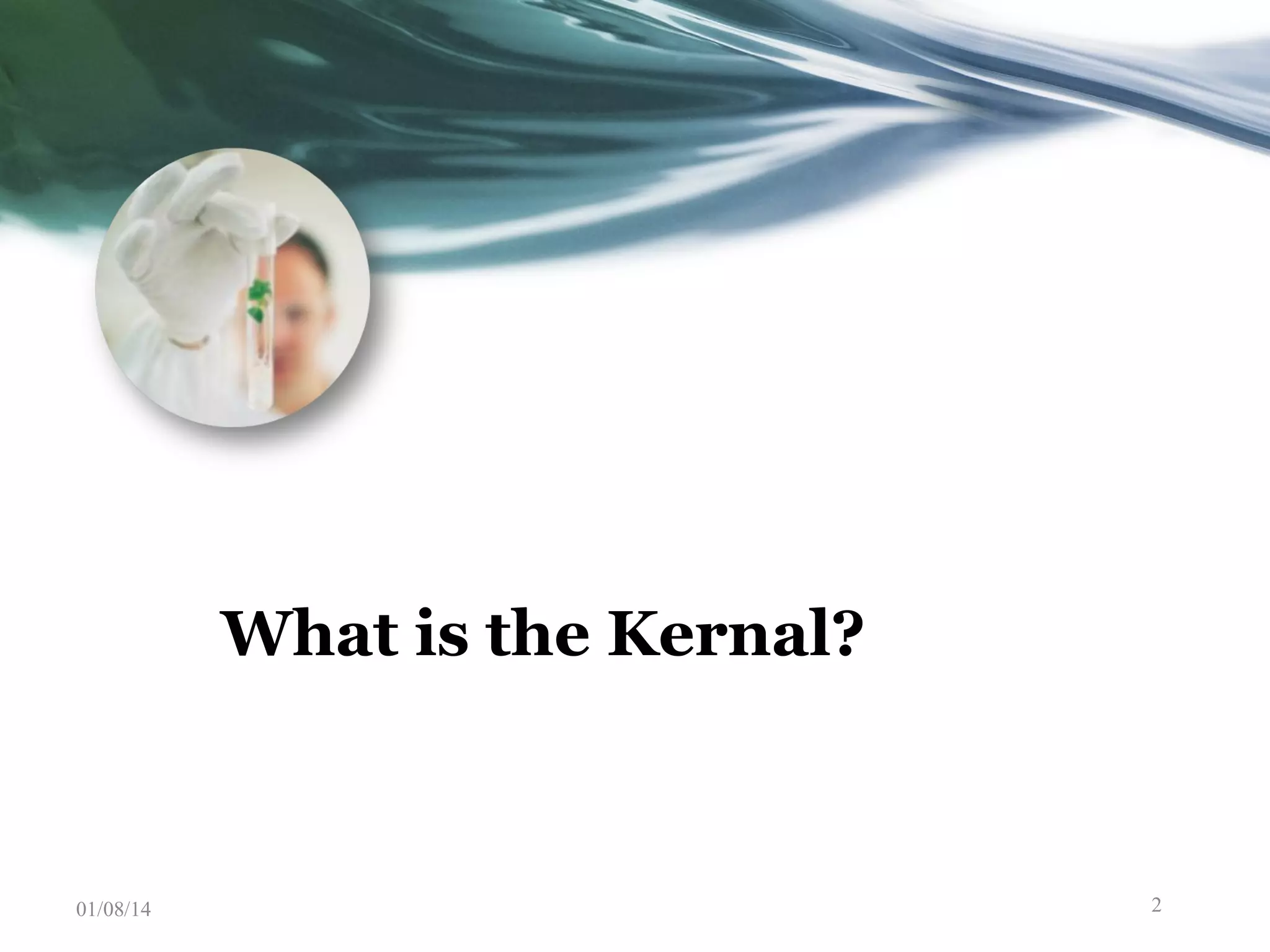 What is the Kernal? 01/08/14 2 