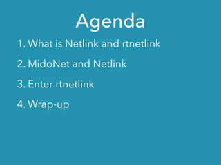 Rtnetlink Message Format rtnetlink | PDF