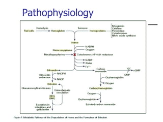 Pathophysiology 