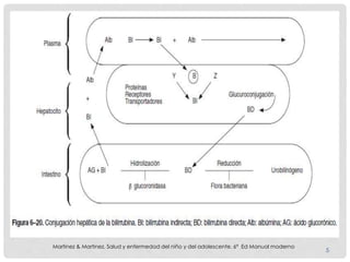 Martinez & Martinez. Salud y enfermedad del niño y del adolescente. 6ª Ed Manual moderno
5
 