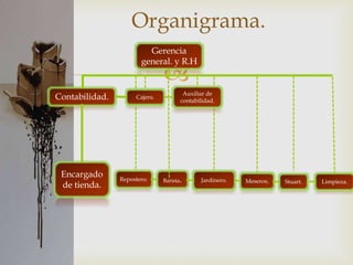 
Organigrama.
Gerencia
general. y R.H
Contabilidad.
Encargado
de tienda.
Repostero. Barista. Jardinero. Meseros. Stuart. Limpieza.
Auxiliar de
contabilidad.
Cajera.
 