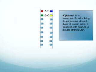 A-T
G-C

Cytosine- it’s a
compound found in living
tissue as a constituent
base of nucleic acids. It
is paired with guanine in
double strands DNA.

 