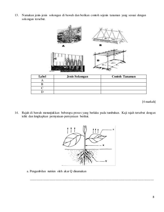 Kertas 1 SAINS PERTANIAN TINGKATAN 4