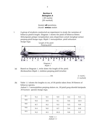 2
Section A
Bahagian A
[ 20 marks]
[20 markah]
Answer all questions.
Jawab semua soalan
1 A group of students conducted an experiment to study the variation of
hibiscus pistil’s length. Diagram 1 shows the pistil of hibiscus flower.
Sekumpulan pelajar menjalankan satu eksperimen untuk mengkaji variasi
panjang pistil bunga raya. Rajah 1 menunjukkan pistil sekuntum
bunga raya.
(a) Based on Diagram 1, write down the length of the pistil.
Berdasarkan Rajah 1, tuliskan panjang pistil tersebut.
………………………………………….. cm [1 mark ]
[1 markah]
(b) Table 1.1 shows the lengths in cm, of 30 pistils taken from 30 flowers of
hibiscus species.
Jadual 1.1 menunjukkan panjang dalam cm, 30 pistil yang diambil daripada
30 kuntum spesies bunga raya.
8.1
9.2 9.4 9.9 8.2 9.3
9.9
9.0 8.9 9.1 9.6 10.4
8.6
8.7 8.2 9.3 9.5 9.9
9.6
9.4 9.0 8.7 9.4 8.8
9.5
9.2 8.3 10.2 9.8 9.7
Length of the pistil
Panjang pistil
Diagram 1
Rajah 1
Table 1.1
Jadual 1.1
 