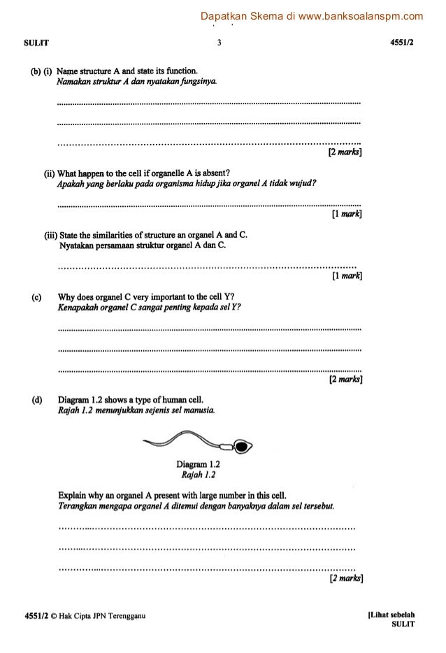 Kertas 2 Pep Pertengahan Tahun Ting 4 Terengganu 2012 Soalan 1
