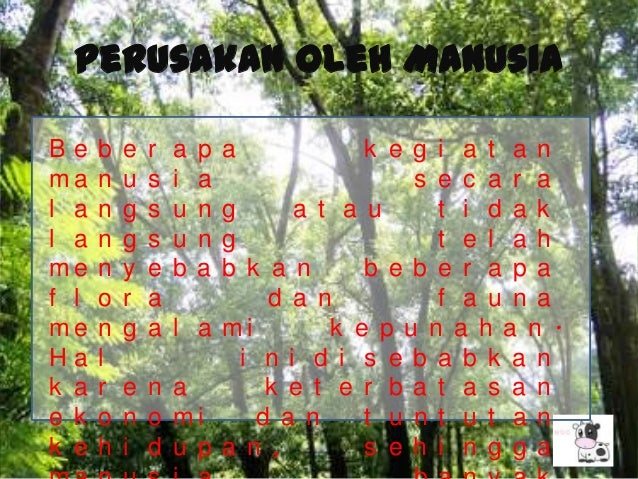 Geografi Kerusakan Flora Dan Fauna