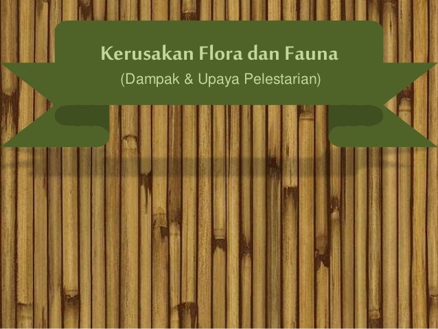 Kerusakan Flora Dan Fauna Dampaknya Upaya Pelestariannya