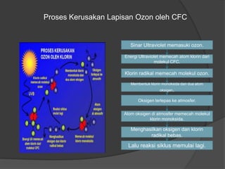 Proses Kerusakan Lapisan Ozon oleh CFC


                        Sinar Ultraviolet memasuki ozon.

                     Energi Ultraviolet memecah atom klorin dari
                                     molekul CFC.

                     Klorin radikal memecah molekul ozon.

                        Membentuk klorin monoksida dan dua atom
                                       oksigen.

                           Oksigen terlepas ke atmosfer.


                     Atom oksigen di atmosfer memecah molekul
                                 klorin monoksida.

                        Menghasilkan oksigen dan klorin
                               radikal bebas.

                      Lalu reaksi siklus memulai lagi.
 