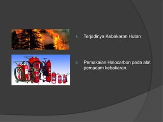 4.   Terjadinya Kebakaran Hutan




5.   Pemakaian Halocarbon pada alat
     pemadam kebakaran.
 