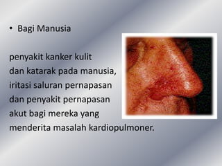 • Bagi Manusia

penyakit kanker kulit
dan katarak pada manusia,
iritasi saluran pernapasan
dan penyakit pernapasan
akut bagi mereka yang
menderita masalah kardiopulmoner.
 