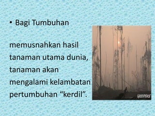• Bagi Tumbuhan

memusnahkan hasil
tanaman utama dunia,
tanaman akan
mengalami kelambatan
pertumbuhan “kerdil”.
 