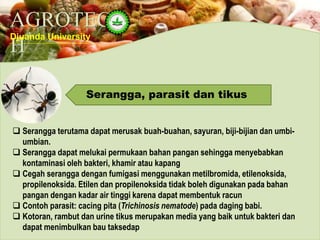 AGROTEC
H
Djuanda University
Serangga, parasit dan tikus
 Serangga terutama dapat merusak buah-buahan, sayuran, biji-bijian dan umbi-
umbian.
 Serangga dapat melukai permukaan bahan pangan sehingga menyebabkan
kontaminasi oleh bakteri, khamir atau kapang
 Cegah serangga dengan fumigasi menggunakan metilbromida, etilenoksida,
propilenoksida. Etilen dan propilenoksida tidak boleh digunakan pada bahan
pangan dengan kadar air tinggi karena dapat membentuk racun
 Contoh parasit: cacing pita (Trichinosis nematode) pada daging babi.
 Kotoran, rambut dan urine tikus merupakan media yang baik untuk bakteri dan
dapat menimbulkan bau taksedap
 