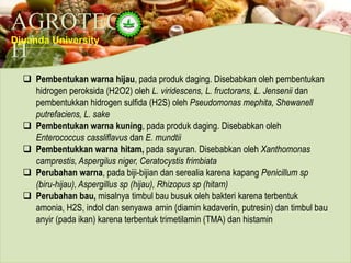 AGROTEC
H
Djuanda University
 Pembentukan warna hijau, pada produk daging. Disebabkan oleh pembentukan
hidrogen peroksida (H2O2) oleh L. viridescens, L. fructorans, L. Jensenii dan
pembentukkan hidrogen sulfida (H2S) oleh Pseudomonas mephita, Shewanell
putrefaciens, L. sake
 Pembentukan warna kuning, pada produk daging. Disebabkan oleh
Enterococcus cassliflavus dan E. mundtii
 Pembentukkan warna hitam, pada sayuran. Disebabkan oleh Xanthomonas
camprestis, Aspergilus niger, Ceratocystis frimbiata
 Perubahan warna, pada biji-bijian dan serealia karena kapang Penicillum sp
(biru-hijau), Aspergillus sp (hijau), Rhizopus sp (hitam)
 Perubahan bau, misalnya timbul bau busuk oleh bakteri karena terbentuk
amonia, H2S, indol dan senyawa amin (diamin kadaverin, putresin) dan timbul bau
anyir (pada ikan) karena terbentuk trimetilamin (TMA) dan histamin
 