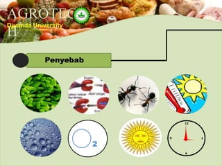 AGROTEC
H
Djuanda University
Penyebab
2
 