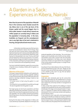 UrbanAgriculturemagazine • number21 • January2009
38
www.ruaf.org
	 InDecember2007,Kiberawasoneofthetwoslums
struck by the post-election violence that hit Kenya. These
riots were the result of various factors compounded by the
highlevelofpovertyandincreasingvulnerability.Mostofthe
families living in the slums had recently settled there, after
leaving the overpopulated rural areas. During 2008, food
and non-food prices rose by up to 50 percent in six months1
.
Resulting dietary changes are evident,including a reduction
in thecompositionandfrequencyofmeals,whichcouldlead
to a rise in malnutrition and susceptibility to disease.
The French relief NGO Solidarités supports the communities
in Nairobi’s slums, including in Kibera, with its “garden in a
sack”project.
Objectives of the project
The project implemented by Solidarités and funded by the
French government involves planting vegetable seedlings
ontopofandaroundthesidesofearth-filledsacks,whichare
placed on doorsteps. Solidarités’ strategy is based on two
major objectives:
- To increase access to food using the garden in a sack
concept.
- Toincrease theincomeavailableforhouseholduse through
the sale of vegetables from the garden in a sack.
The target groups are low-income populations and those
affectedbyHIV/Aids(whoneedbetternutrition)2
.Theinhab-
itants of the slums have the appropriate know-how to culti-
vate vegetables.The main problem preventing the develop-
ment of agriculture is the lack of land and cash to buy agri-
cultural inputs.
During the first phase of the programme in Kibera, over
11,000 beneficiary households adopted the technique and
AGardeninaSack:
ExperiencesinKibera,Nairobi
More than 60 percent of the population of Nairobi
lives in the numerous slums located around the
city. Kibera slum is one of the 146 slums of the
Kenyan capital and the second biggest slum in
Africa (after Soweto in South Africa). Around one
million people are currently living in Kibera and
the population is increasing daily. In the slum,
landslides are frequent and the unemployment
rate is very high. Most of the land is dedicated to
housing,and agricultural land remains scarce.
Peggy Pascal
Eunice Mwende
produced vegetables on their doorsteps.  The current phase
targets 32,000 households, some of which are now cultivat-
ing tomatoes, onions, kale or spinach. Over 18 nursery beds
have been established in the Kibera slum. Some selected
community members are responsible for the management
of the nursery, whereas another group is in charge of train-
ing the beneficiaries.
According to Francis Owino Waneno, the area chief, the pro-
ject has boosted food security in the slum. “People can now
eat and in some cases sell their own produce and that means
a lot to dwellers of this slum”, he says (The East African
Magazine,June 2-8,2008).
Preparation
Small plots were voluntarily given by the communities
(without compensation) for the establishment of nursery
beds. Solidarités provides the seeds, and community mobi-
lisers support the community members in management of
the nurseries.
It takes at least three weeks for the seedlings to mature
enough tobe transplantedinto thesacksorkitchengardens.
And already at this stage community participation is impor-
tant. It is important to explain that the seedlings will be
distributed for free to community members who qualify as
per the selection criteria.
In the context of a slum, crops with a short growing period
and long-term benefits are needed. For instance, in the first
phaseoftheprogrammeitwasnotedthat(cropbulb)onions
took too long to mature, so the participants opted for leafy
onions.Furthermore,thequalityofthesoilandwaterforirri-
Woman cultivating kale in Kibera
Photo: Solidarités
 