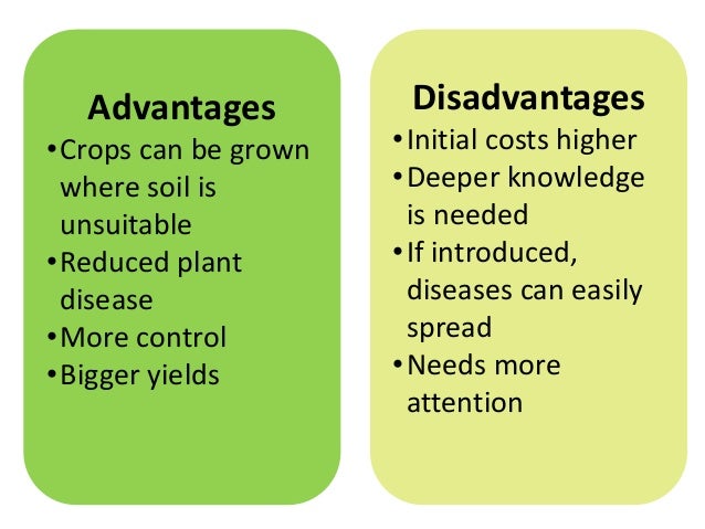 Aquaponics system advantages Global and Regional Vertical Farming Markets Analysis & Forecasts, 2020-2021 & 2026 - ResearchAndMarkets.com