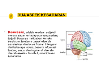 DUA ASPEK KESADARAN
1. Keawasan, adalah keadaan subjektif
merasa sadar terhadap apa yang sedang
terjadi, biasanya melibatkan korteks
serebrum, terutama daerah-daerah
asosiasinya dan lobus frontal. Intergrasi
dari beberapa indera, beserta informasi
tentang emosi dan ingatan di daerah-
daerah asosiasi tersebut, menciptakan
kesadaran
 