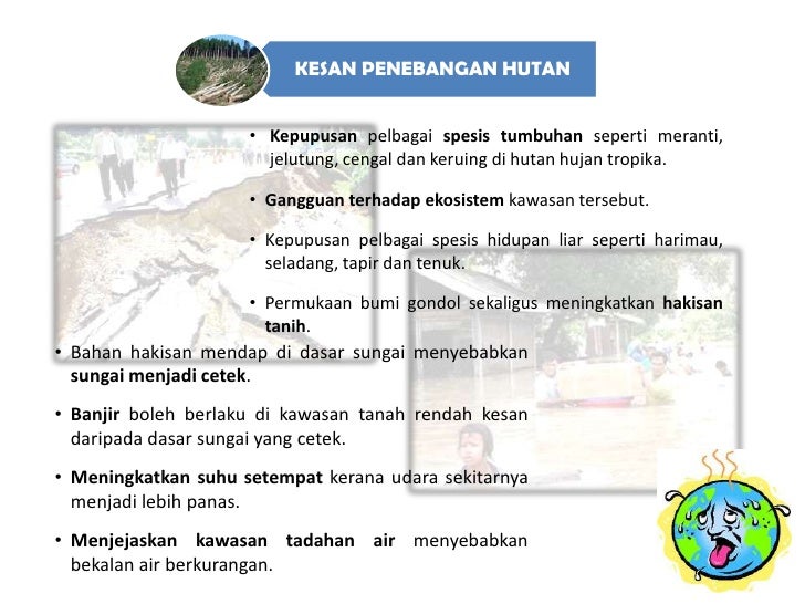 Kesan kepupusan hidupan liar