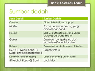 Sumber dadah
Jenis Dadah Sumber Dadah
Candu Diperoleh dari pokok popi
Morfin Bahan berwarna perang yang
diproses dari candu
Heroin Serbuk putih atau perang yang
diproses daripada morfin
Ganja Daun dan bunga kering dari
tumbuhan Cannabis sativa
Ketum Daun dari tumbuhan pokok ketum
LSD, ICE, syabu, Yaba, Pil
Kuda, (Methamphetamine )
Dadah sintetik
Ketamin (dadah rogol) Ubat penenang untuk kuda
(Five-chai, Happy5) Eramin Ubat tidur
Bab 2: Koordinasi Badan
 