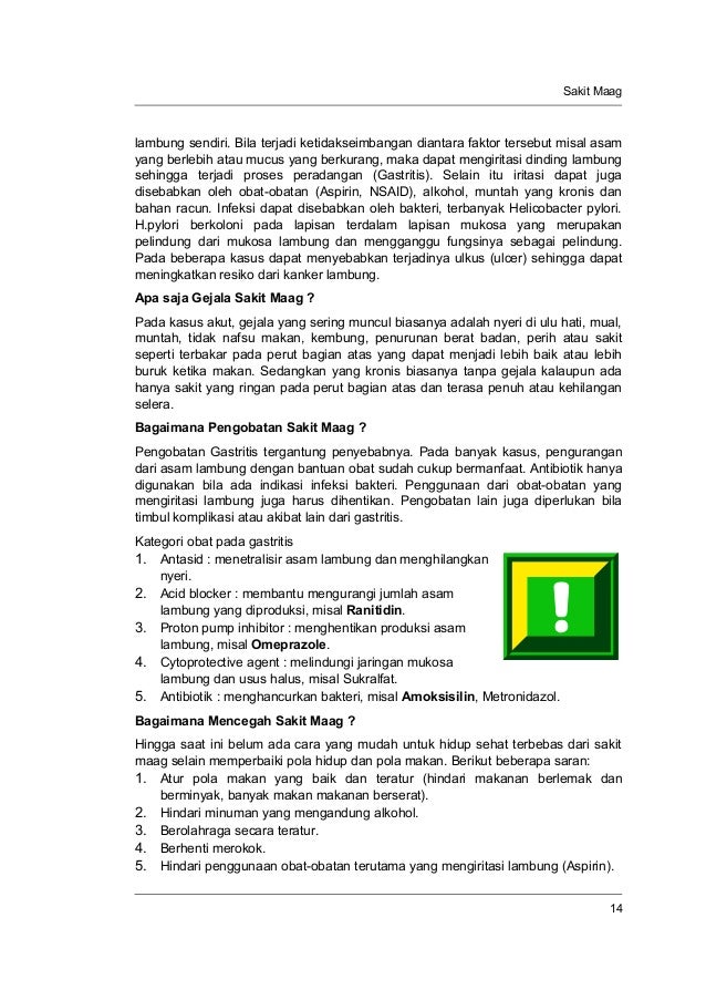 12 Sayuran Untuk Asam Lambung Yang Aman Dikonsumsi