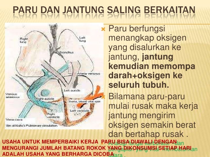 Kesehatan jantung dan cerdas gizi sehat-BAHASA INDONESIA