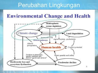 Perubahan Lingkungan
 