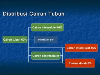 Distribusi Cairan TubuhDistribusi Cairan Tubuh
Cairan tubuh 60%
Cairan ekstraseluler
Plasma darah 5%
Cairan interstisial 15%
Cairan intraseluler40%
Membran sel
 