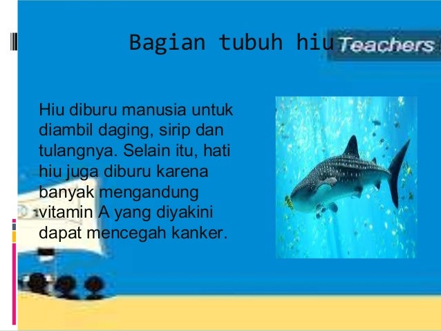 Keseimbangan ekosistem