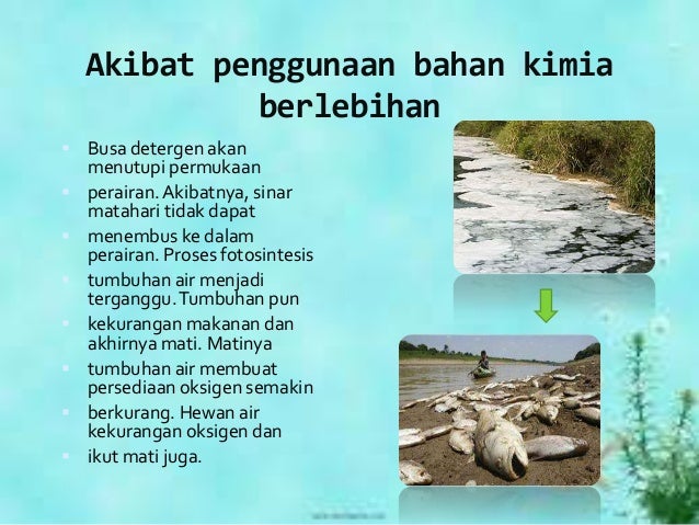 Keseimbangan ekosistem