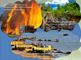 Ekosistem Darat
Eksploitasi berlebihan pada ekosistem darat
sebagian besar terjadi pada ekosistem hutan.
Ekosistem hutan, khususnya ekosistem hutan hujan
tropis memiliki keanekaragaman organisme yang
tinggi.
Penebangan hutan secara acak dalam jumlah besar
untuk industri furnitur atau industri kertas, dan
pembakaran hutan untuk area persawahan secara
terus-menerus menyebabkan dampak negatif bagi
keseimbangan Iingkungan baik secara regional
maupun global.
http://mbkpos.com/images/peneba
ngan%20hutan%20ilustrasi.jpg
http://hidayatullah.or.id/wp-
content/uploads/2013/10/kebakar
an-hutan-at-Australia.jpg
http://4.bp.blogspot.com/-
u0CNoUvzaJ4/T4ibXgDLv-
I/AAAAAAAAAHA/fXyeUO4-
sR8/s640/penambang-pasir.jpg
 