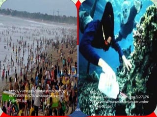 Ekosistem Akuatik
Eksploitasi sumber daya akuatik dapat berupa
penangkapan organisme laut secara berlebihan
Ancaman lain yang dapat mengganggu ekosistem perairan
adalah penggunaan ekosistem perairan sebagai daerah
wisata.
Penetapan daerah wisata perairan dapat dikatakan sebagai
eksploitasi karena apabila daerah wisata tersebut tidak
dikelola dengan balk maka akan mengganggu keberadaan
organisme yang ada di ekosistem tersebut. Sebagai contoh,
http://static.republika.co.id/uploads/images/detailnews/pengeboran-minyak-lepas-
pantai-_110718170233-857.jpg
http://v-
images2.antarafoto.com/gpr/127176
7502/peristiwa-pelestarian-terumbu-
karang-02.jpg
http://v-images2.antarafoto.com/g-
ec/1356955520/wisatawan-pantai-
kuta-20.jpg
 