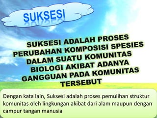 Dengan kata lain, Suksesi adalah proses pemulihan struktur
komunitas oleh lingkungan akibat dari alam maupun dengan
campur tangan manusia
 