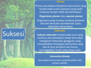 Suksesi
Primer
Proses perubahan komposisi komunitas yang
terjadi pada suatu kawasan yang pada
mulanya hampir tidak ada kehidupan.
Organisme pioner atau spesies pioner
Organisme yang mampu tumbuh pertama
kali dan kemudia membentuk suatu
ekosistem dinamakan.
Sekunder
Suksesi sekunder terjadi pada area yang
mulanya ada kehidupan tetapi kemudian
mengalami beberapa gangguan yang
menyebabkan hilangnya komunitas yang
ada di area tersebut dan hanya
meninggalkan tanah yang tetap utuh.
Komunitas klimaks
merupakan komunitas yang dihasilkan dari
proses suksesi.
 