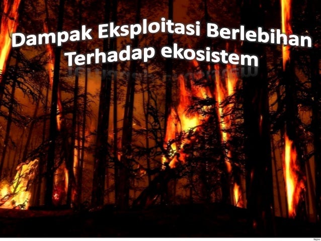 Contoh Ekosistem Klimaks - FRasmi