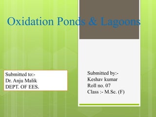 Oxidation Ponds & Lagoons
Submitted to:-
Dr. Anju Malik
DEPT. OF EES.
Submitted by:-
Keshav kumar
Roll no. 07
Class :- M.Sc. (F)
 
