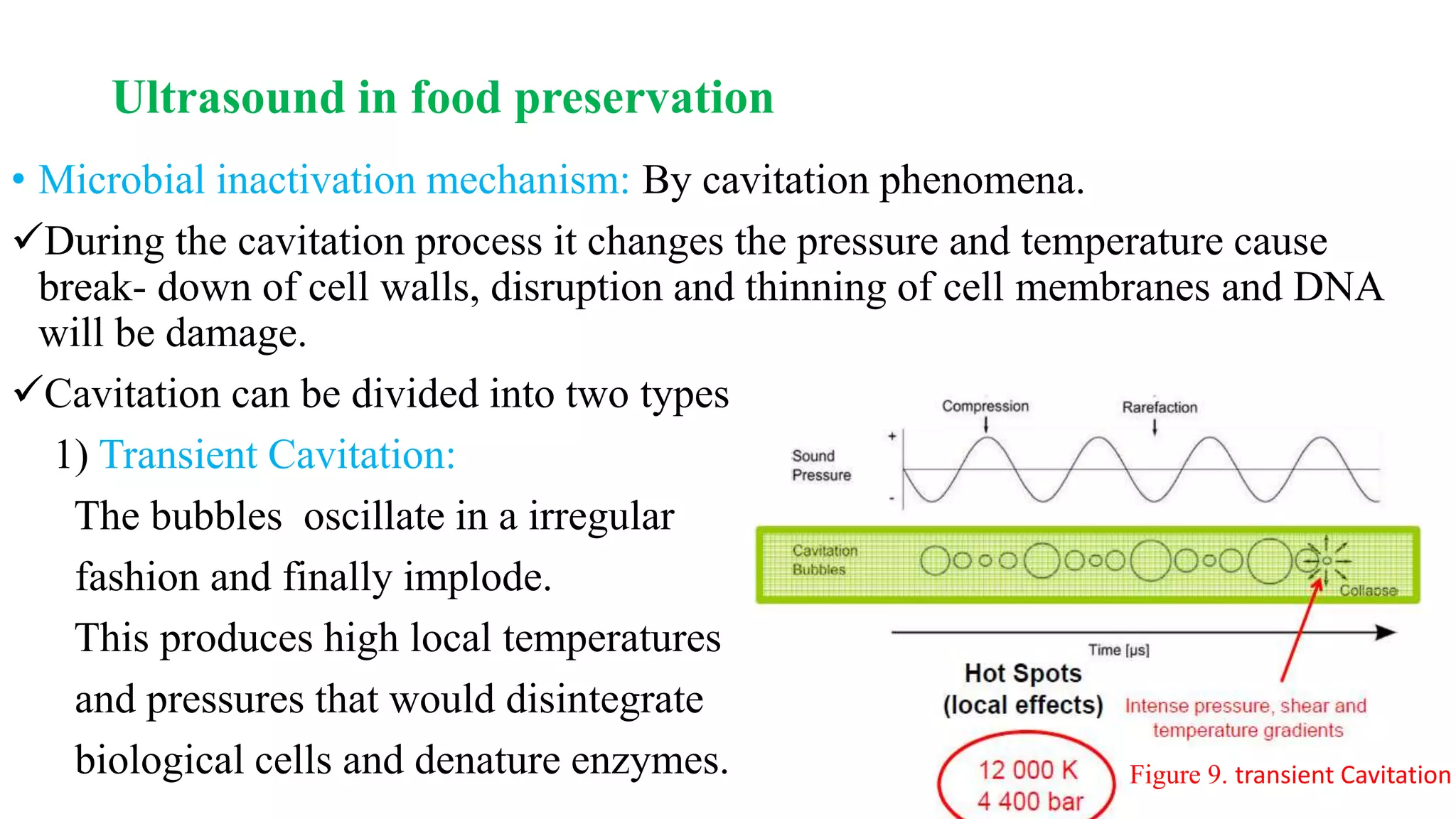 Ultrasound in food preservation