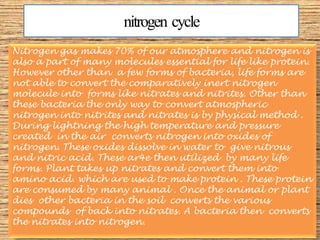 nitrogen cycle
Nitrogen gas makes 70% of our atmosphere and nitrogen is
also a part of many molecules essential for life like protein.
However other than a few forms of bacteria, life forms are
not able to convert the comparatively inert nitrogen
molecule into forms like nitrates and nitrites. Other than
these bacteria the only way to convert atmospheric
nitrogen into nitrites and nitrates is by physical method .
During lightning the high temperature and pressure
created in the air converts nitrogen into oxides of
nitrogen. These oxides dissolve in water to give nitrous
and nitric acid. These ar4e then utilized by many life
forms. Plant takes up nitrates and convert them into
amino acid. which are used to make protein . These protein
are consumed by many animal . Once the animal or plant
dies other bacteria in the soil converts the various
compounds of back into nitrates. A bacteria then converts
the nitrates into nitrogen.

 