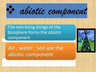 The non living things of the
biosphere forms the abiotic
component

Air , water , soil are the
abiotic component

 